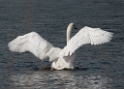 Schleswig Holstein Ostsee 09_2015 KA7_4328 als Smartobjekt-1 Kopie